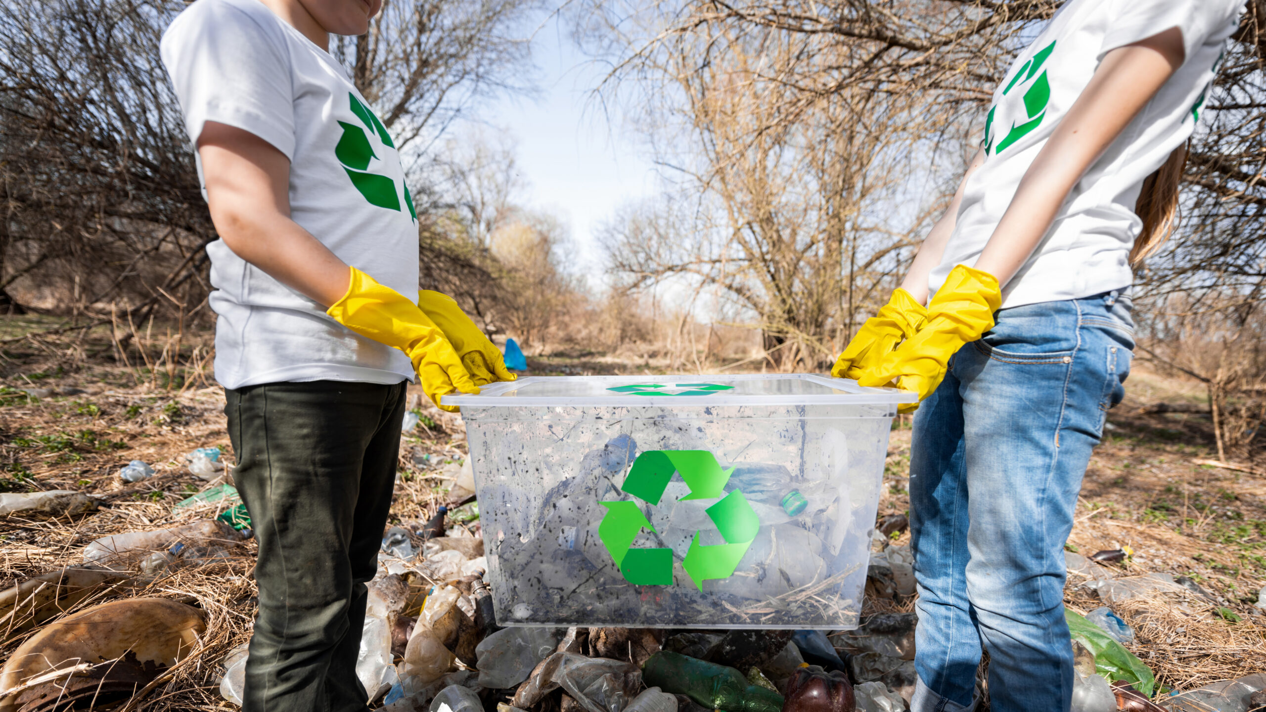 Waste Removal Strategies